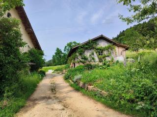 La cabane qui grince - Les Bois - 4
