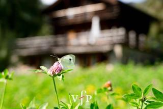 Grand Chalet Verbier - Verbier - 6