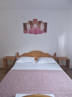 Pensiunea Cabana Viselor - Vadu Moţilor - 3