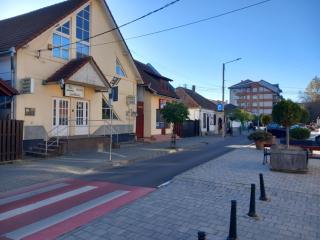 Hangya panzió - Târgu Secuiesc - 0