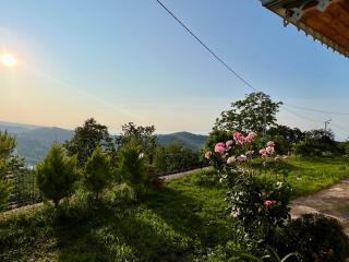 Nature Family House - Arsin - 3