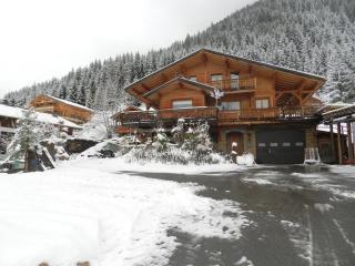 Penthouse : fantastique duplex au dernier étage d'un chalet - Châtel - 0