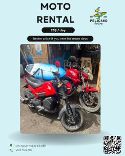 Pelicano Surf Camp - 3