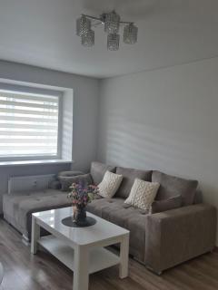 Kaunas City Apartment - Kaunas - 2