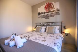 Apartman Sani - Rošini - 4