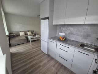 Kaunas City Apartment - Kaunas - 9