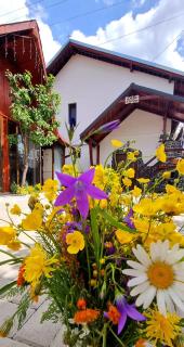Casa FLOREA - Vama Buzăului - 4
