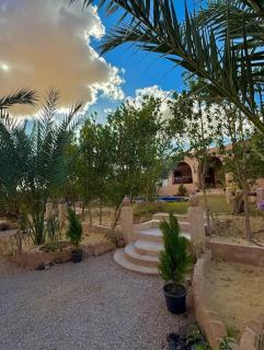 Shasha Ecolodge - Siwa - 7