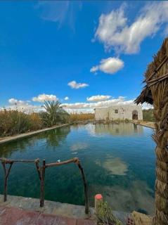 Shasha Ecolodge - Siwa - 4