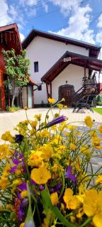 Casa FLOREA - Vama Buzăului - 6