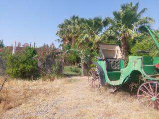 Ferme Amzrou - Had Abdallah Rhiat - 4