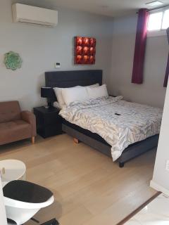 Chic and Cozy Bachelor Suite - Hamilton - 2