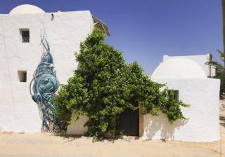 Dar Farah - Erriadh - 0