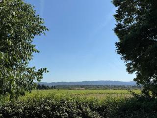 Bastide Neuve au Cœur du Luberon - Piscine Privée - 4