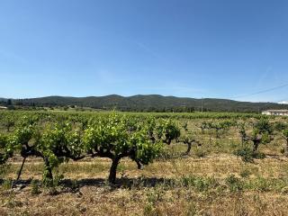 Bastide Neuve au Cœur du Luberon - Piscine Privée - 5