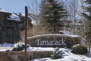 Tamarack Townhome #29 - 9