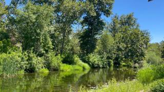 Grand Riverside Retreat - Three Rivers - 8