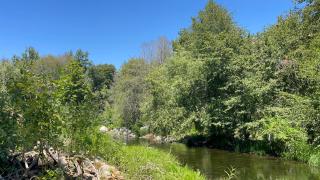 Grand Riverside Retreat - Three Rivers - 3