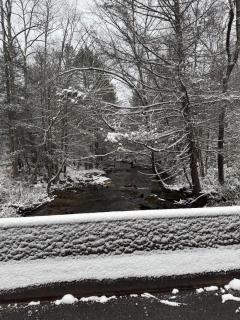 Serene Cabin between Fayetteville& Summerville WV - 1