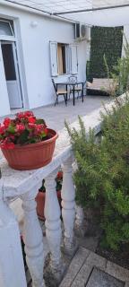 Apartmani Ljumović Budva - Budva - 4
