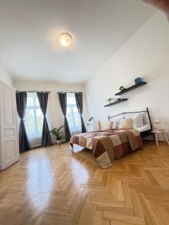 Apartment Hviezdoslav Square, the historic heart of Bratislava - 5