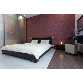 Lyapunova Atmospheric Apartment - Kharkiv - 2