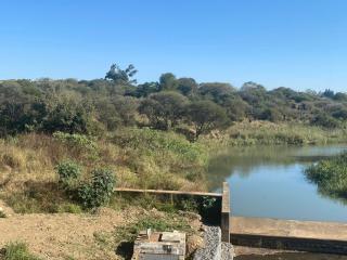 Spocks Farm - Camperdown - 5
