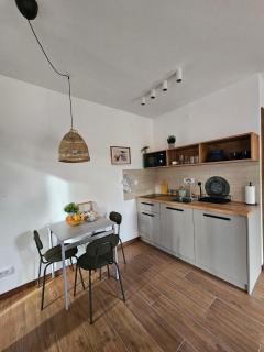 Studio Apartman Nomad Divčibare - Divčibare - 1