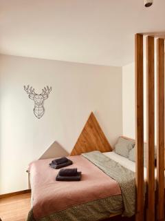 Studio Apartman Nomad Divčibare - Divčibare - 0