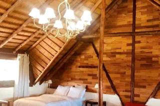 Country house with swimming pool, near Montevideo - Sauce - 5
