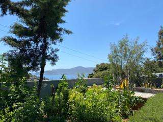 Villa-Agave , by the sea in Porto-Rafti outside Athens - Porto Rafti - 6