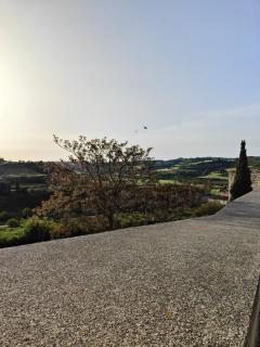 CaLagneta - Art i Vi - Cervera - 3