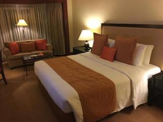 Hotel LAA PLAZA Unit by GROSS GROUP Near Delhi Airport - 2