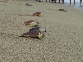 Casa grande surf - Santa Marta - 7