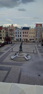 LULU Apartament Rynek 3-5 - Grudziądz - 8