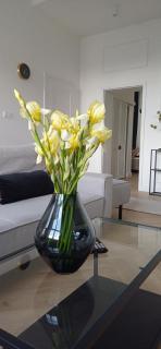 LULU Apartament Rynek 3-5 - Grudziądz - 7