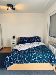 Appartement avec Balcon - Friburgo em Brisgóvia - 2