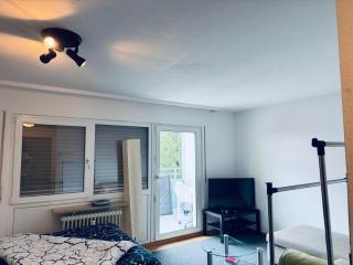 Appartement avec Balcon - Friburgo em Brisgóvia - 3