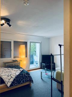 Appartement avec Balcon - Friburgo em Brisgóvia - 0
