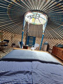 Yurt in Drenthe - 8