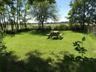 Yurt in Drenthe - Een-West - 7