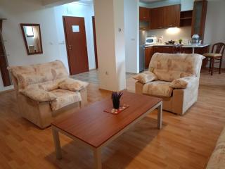 103 - Large 2 bed apartment - Bansko - 0