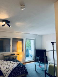 Appartement avec Balcon - Friburgo em Brisgóvia - 6