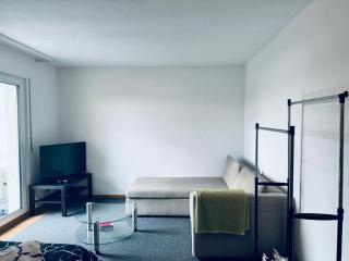 Appartement avec Balcon - Friburgo em Brisgóvia - 8