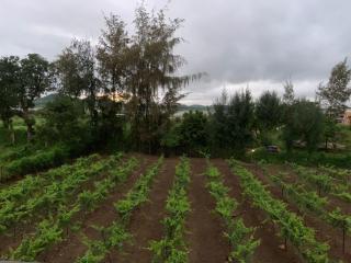 Erehwon - Nashik - 9