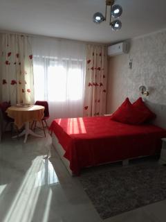 Apartament IAZMI Herculane - Băile Herculane - 5
