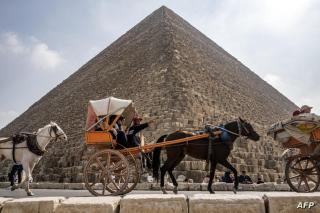 Master kings of the pyramids and Sphinx - Caïro - 3