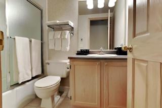 Timberline Condominiums 1 Bedroom Standard Unit A1B - Snowmass Village - 1