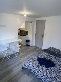 Studio B lumineux refait à neuf cœur historique de Troyes - Troyes - 8