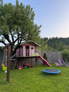 Chalet Bora - Vişeu de Jos - 5